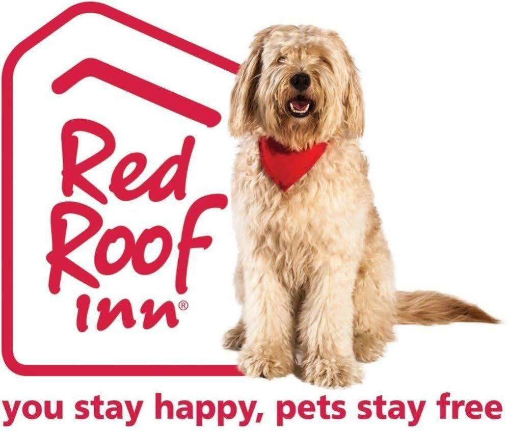 Red Roof Inn Plus+ Tempe - Phoenix Airport Zewnętrze zdjęcie